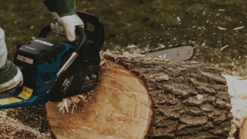 an electric chainsaw