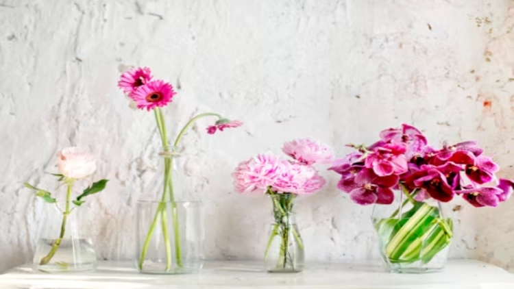 glass vases