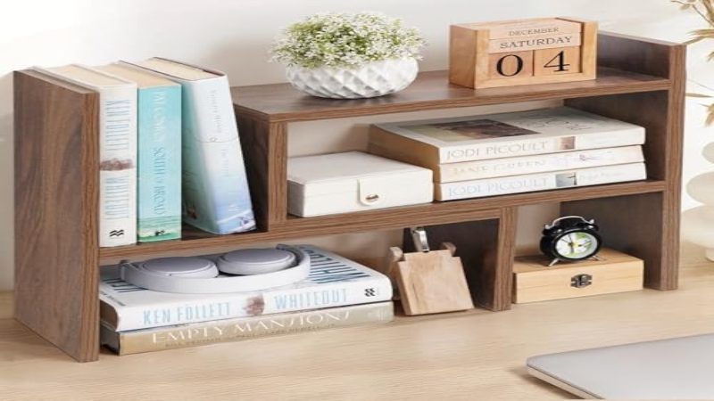 study organizers